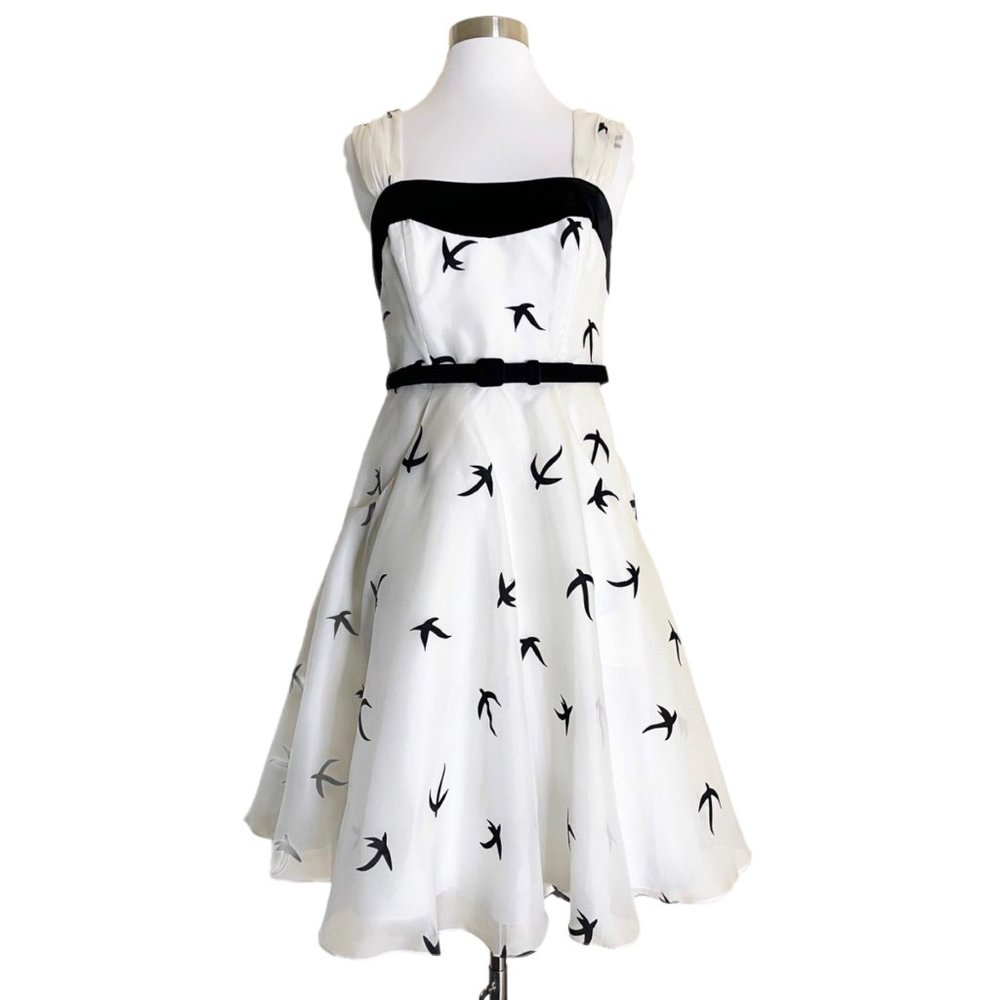 Anthro BHLDN hitherto Floating Flock Black & White Silk Dress NWOT Sz 2